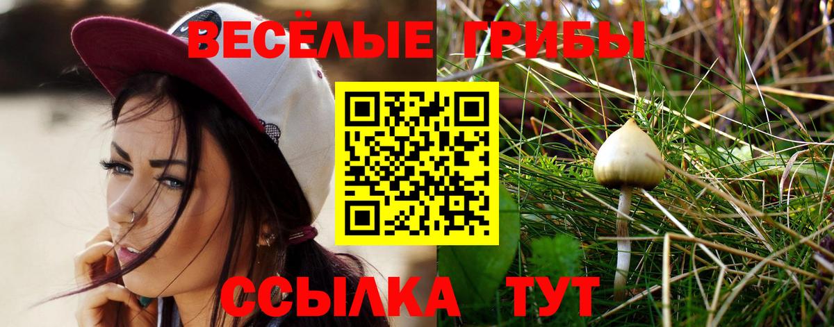 Тобольск  Псилоцибиновые грибы ЛСД  Вход с VPN 